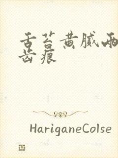 舌苔黄腻两侧有齿痕