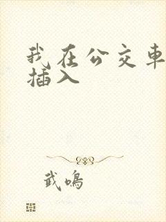 我在公交车上被插入
