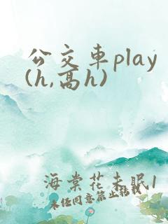 公交车play(h,高h)
