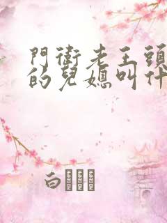 门卫老王头孙茹的儿媳叫什么