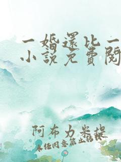 一婚还比一婚高小说免费阅读
