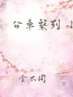 公车系列 小说