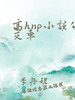 高hnp小说公交车