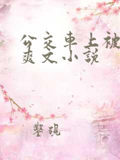 公交车上被强上爽文小说