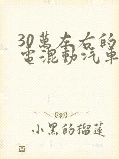 30万左右的油电混动汽车