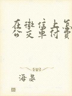 在微信上怎么坐公交车付费