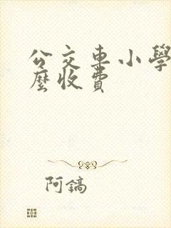 公交车小学生怎么收费