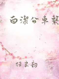 白洁公车系列
