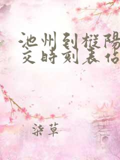 池州到枞阳的公交时刻表站点