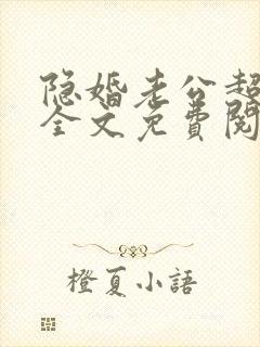 隐婚老公超给力全文免费阅读