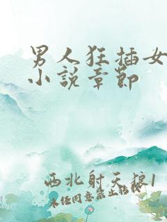 男人狂插女人的小说章节
