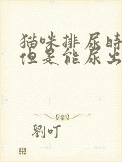 猫咪排尿时间长但是能尿出来