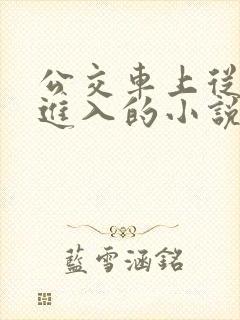 公交车上从后面进入的小说