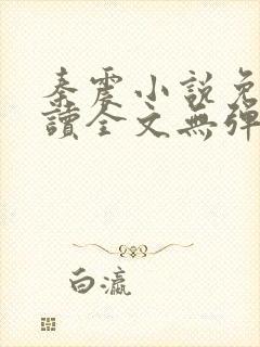 秦震小说免费阅读全文无弹窗