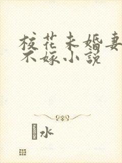 校花未婚妻非我不嫁小说