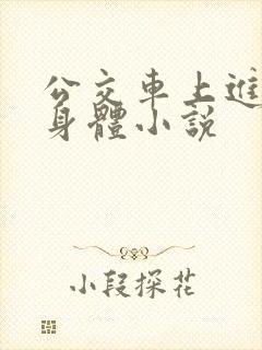 公交车上进入我身体小说