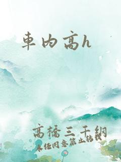 车内高h