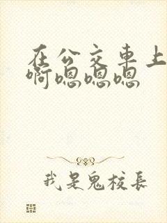 在公交车上啊啊啊嗯嗯嗯