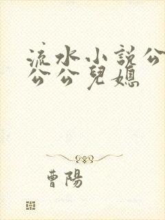 流水小说公交车公公儿媳