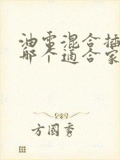油电混合插电混哪个适合家用