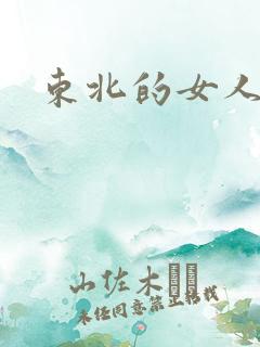 东北的女人小说