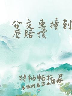 公交车撞到人怎么赔偿