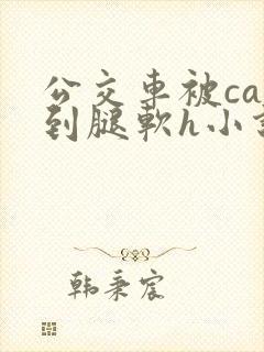 公交车被cao到腿软h小说
