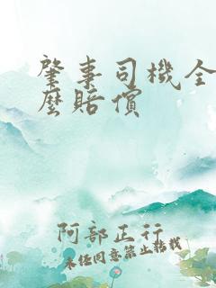 肇事司机全责怎么赔偿