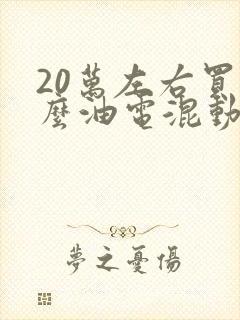 20万左右买什么油电混动车好