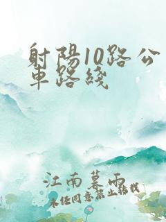 射阳10路公交车路线