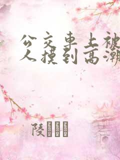 公交车上被陌生人摸到高潮