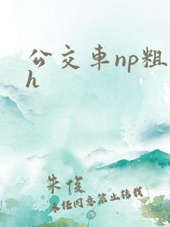 公交车np粗暴h