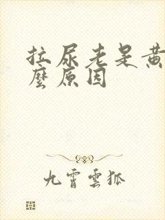 拉尿老是黄是什么原因