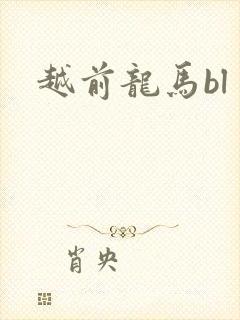 越前龙马bl