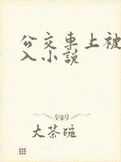 公交车上被后插入小说