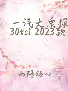 一汽大众探岳330tsi 2023款