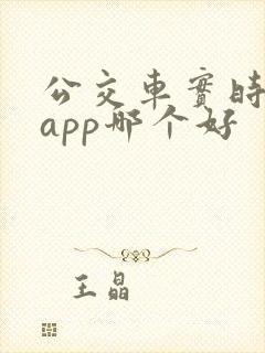 公交车实时到站app哪个好