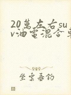 20万左右suv油电混合车型推荐