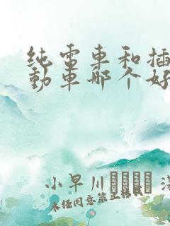 纯电车和插电混动车哪个好
