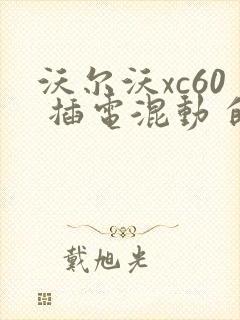沃尔沃xc60 插电混动 的报价