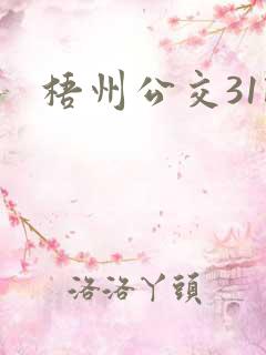 梧州公交31路