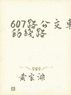 607路公交车的线路