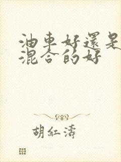 油车好还是油电混合的好