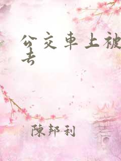 公交车上被插进去