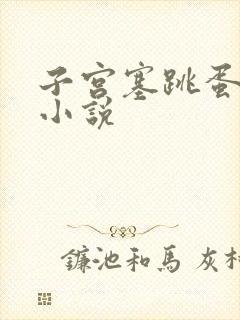 子宫塞跳蛋调教小说