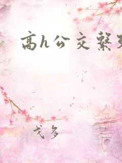 高h公交系列