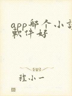 app哪个小说软件好