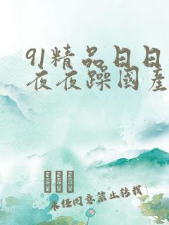 91精品日日躁夜夜躁国产