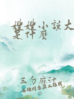 嫂嫂小说大结局是什么