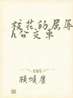 校花的屈辱调教h公交车